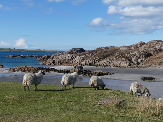 Plage Iona Nord bis